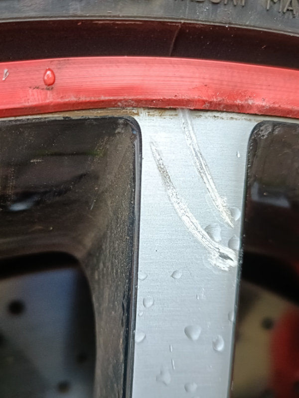 Alloy Wheel Rim Protectors (Gators) may not be the best idea